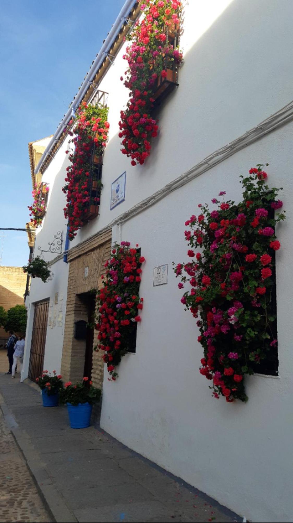Apartamento En Barrio San Basilio Lejlighed Córdoba Eksteriør billede